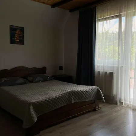 Guest house House Slavske